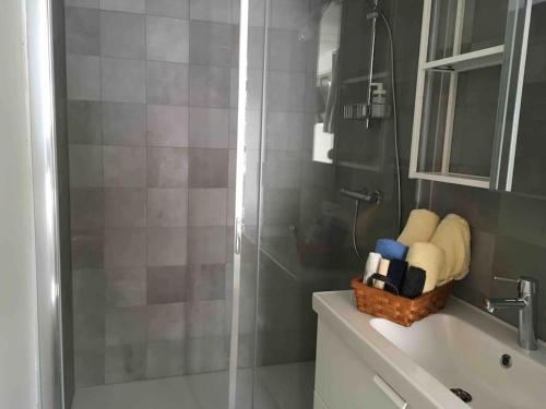 a bathroom with a shower and a basket of towels at 'het T-huisje' volledig ingerichte studio in Leuven