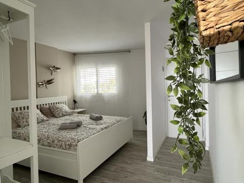 Apart Hotel Ponderosa Tenerife في بلايا ذي لاس أميريكاس: غرفة نوم بسرير ونبات