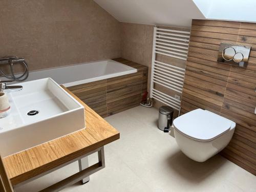 ein Badezimmer mit einem Waschbecken, einem WC und einer Badewanne in der Unterkunft Mytho 2 in Mýto pod Ďumbierom