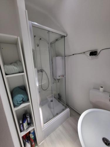 a bathroom with a shower and a toilet and a sink at Andrei Ferienwohnung in Marktbreit