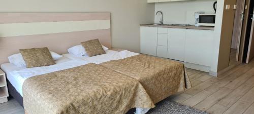 En eller flere senge i et værelse på Apartamenty Czarna Góra Is28