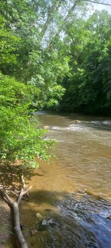 Φωτογραφία από το άλμπουμ του Les Berges Du Cele σε Bagnac