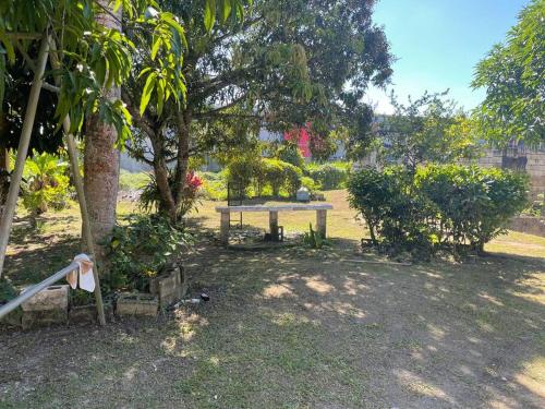 a park with a table and some bushes and a tree at GraceWay Studio Apt with A/C -3mins walk to beach in Negril
