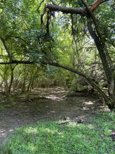 Nido del Búho ( Eule Nest) – Photos 4