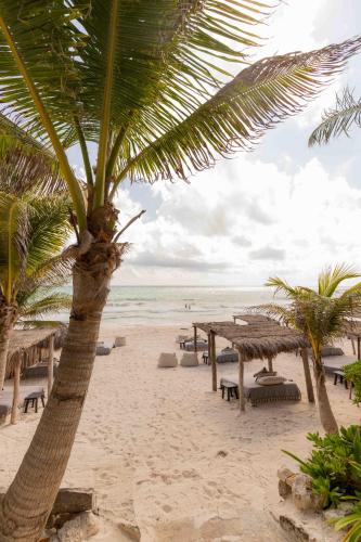 a beach with tables and chairs and a palm tree at NEST Tulum in Tulum