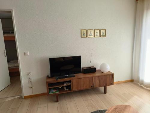 TV a/nebo společenská místnost v ubytování Ferienwohnung Nr.22,Haus Azurit
