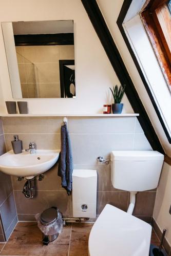 a bathroom with a toilet and a sink at Gemütliches Nurdachhaus im Naturparadies mit Sauna - Erholung pur in Bad Wünnenberg