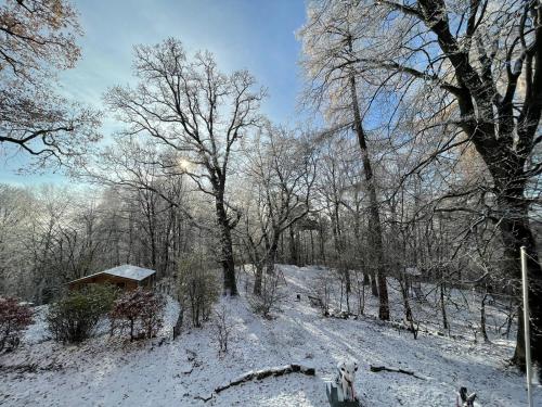 Spiegelslust-Apartments im Winter