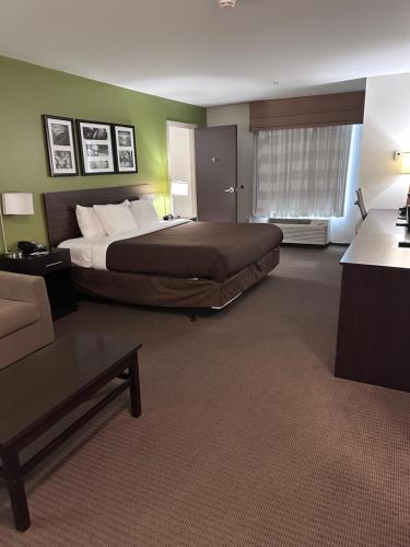 a hotel room with a bed and a couch at Sleep Inn & Suites Gulfport in Gulfport