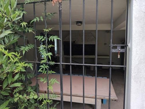 an empty bed in a room with plants at Morgana in Cuchilla Alta
