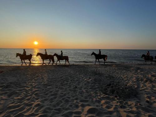 a group of people riding horses on the beach at sunset at Domki u Pana Zielonki in Rusinowo