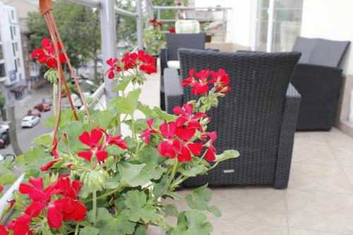 un ramo de flores rojas sentado junto a una silla en Arnautskiy Hotel, en Odessa