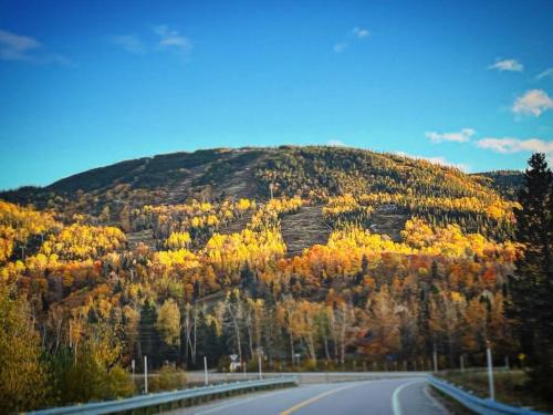 a road with a mountain with trees on it at Appartement Mont Édouard, Hébergement paisible à la montagne in LʼAnse-Saint-Jean