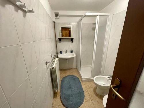 a bathroom with a shower and a toilet and a sink at BOUQUE GEORGEOLINE in Rhêmes-Notre-Dame