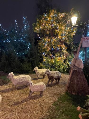 Φωτογραφία από το άλμπουμ του Gîte le Calyaden σε Athis