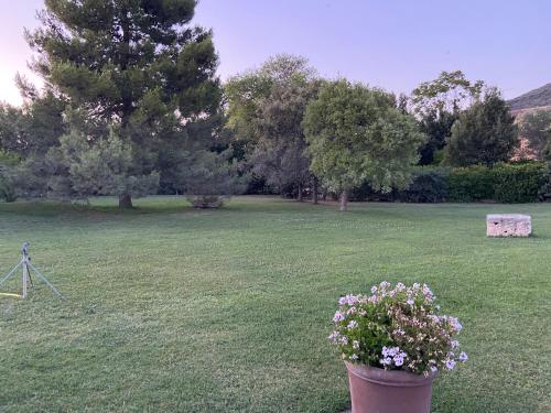 a field with a camera and a flower pot in the grass at Agriturismo Relais Villa Passerini in Grosseto