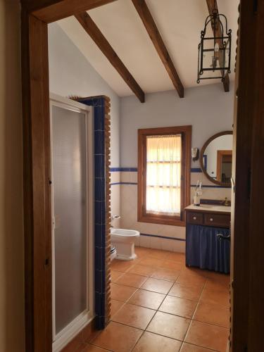 a bathroom with a toilet and a sink and a mirror at LOS CORRALILLOS in Motril