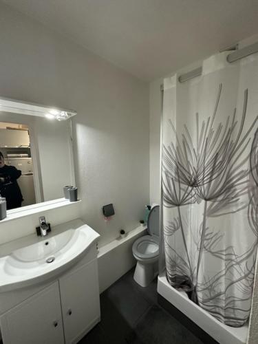 uma casa de banho com um chuveiro, um lavatório e um WC. em Aux pieds des pistes refait à neuf em Superdevoluy