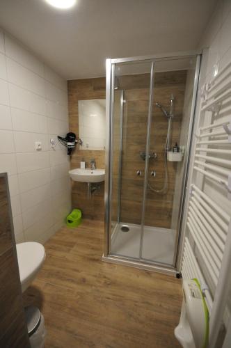 y baño con ducha y lavamanos. en Malovaný dvůr en Dolní Dunajovice