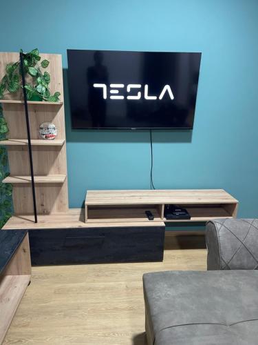 a living room with a television on a blue wall at Villa D&M in Krupanj