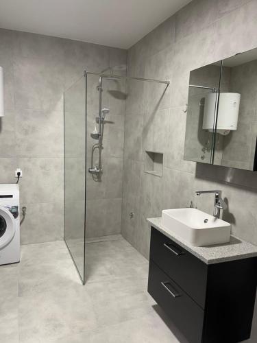 a bathroom with a shower and a sink and a washing machine at Villa D&M in Krupanj