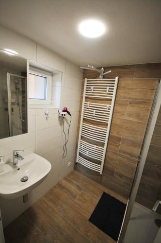 a bathroom with a sink and a shower at Malovaný dvoreček in Dolní Dunajovice