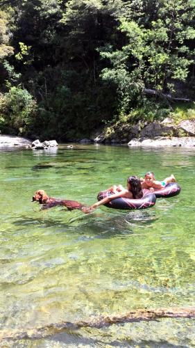 two people and a dog in the water at Off the Beaten Track B&B in Canvastown