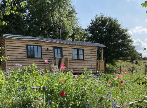 a small wooden cabin in a field with flowers at Pilgrims Nap in Rainham
