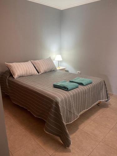a bed with two pillows on it in a bedroom at Casa Nogal in El Bolsón