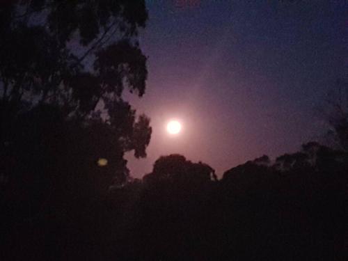 Fotografie z fotogalerie ubytování Woodside Ranch Luxury Farmstay v destinaci Woodside