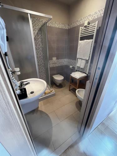 a bathroom with a sink and a toilet at B & B La Pineta By La Capannina in Roccaraso