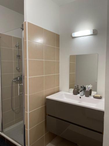 een badkamer met een wastafel en een douche met een spiegel bij T2 Port Marianne avec balcon et place de parking in Montpellier