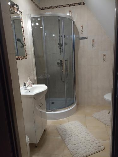 a bathroom with a shower and a sink at PRZY POTOKU -noclegi in Białka Tatrzańska