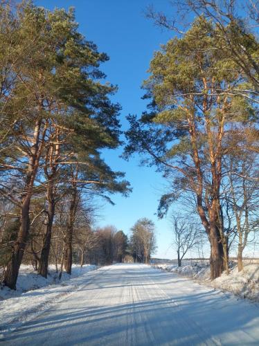 a snow covered road with trees on either side at Biały Żagiel - Dom do wynajęcia Pluski in Pluski