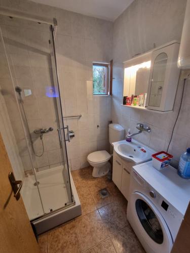 a bathroom with a shower and a toilet and a sink at Holiday Home Harmony in Mostar