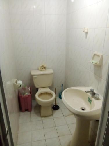 La salle de bains blanche est pourvue de toilettes et d'un lavabo. dans l'établissement No. 271, à Mexico