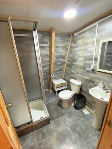 a bathroom with a shower and a toilet and a sink at Araucaria Lodge in Curacautín