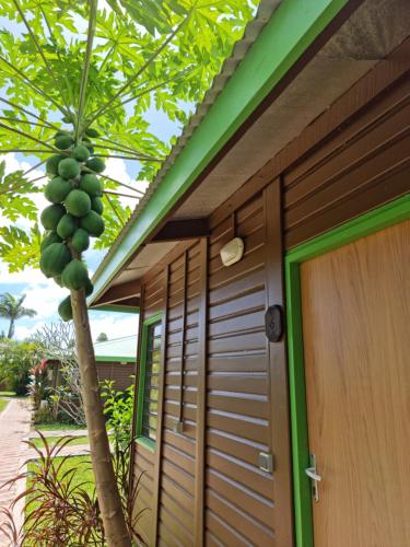 a house with a bunch of fruit hanging from a tree at Hotel Oasis de Kiamu in Lifou