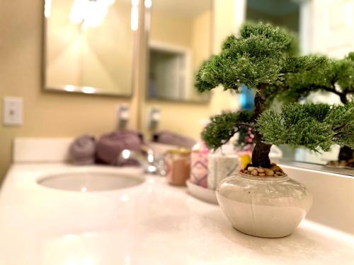 a bonsai tree in a white vase on a bathroom counter at Homeinn - Luxe Residence Near Victoria Mall & Mills in Rancho Cucamonga