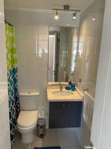 een badkamer met een toilet, een wastafel en een spiegel bij Departamento Centro Viña Playa in Viña del Mar