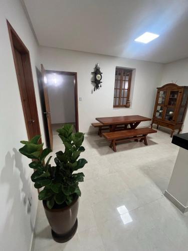 a living room with a table and a potted plant at TURISHOUSE SUITES in Salvador