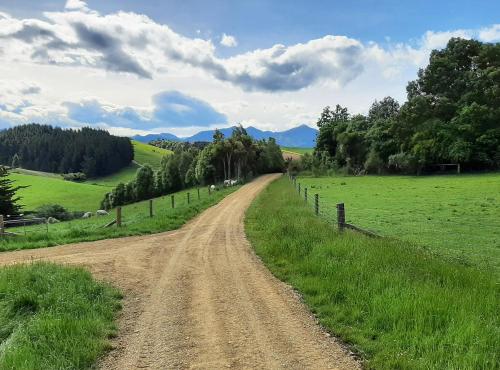a dirt road in the middle of a field at Kotare BandB in Geraldine