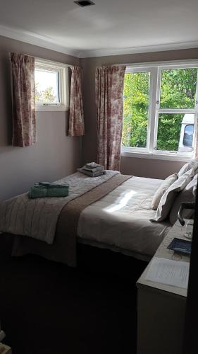 Grovetown的住宿－Dragonflycottagebnb，一间卧室设有一张大床和两个窗户