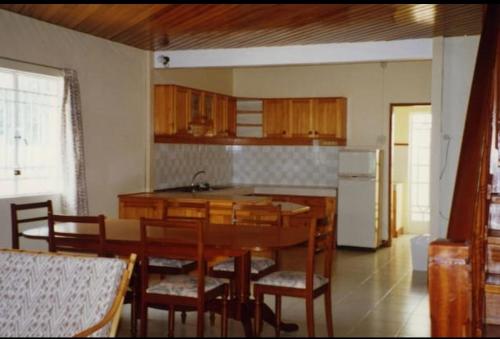 eine Küche mit einem Tisch und Stühlen sowie einem Kühlschrank in der Unterkunft Villa Pointe Aux Cannoniers in Pointe aux Cannoniers