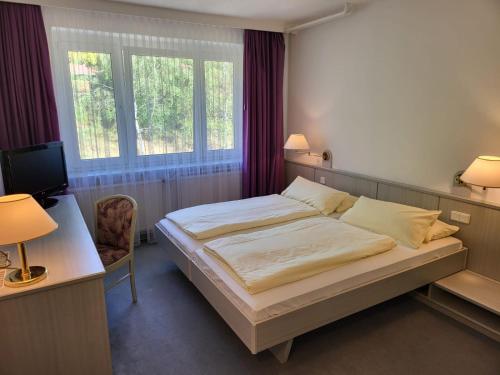 een slaapkamer met een bed, een bureau en een televisie bij Werrapark Aktiv Hotel Am Sommerberg in Masserberg