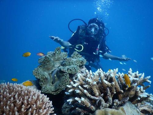 Royal Villa Beach Resort – Photos 2