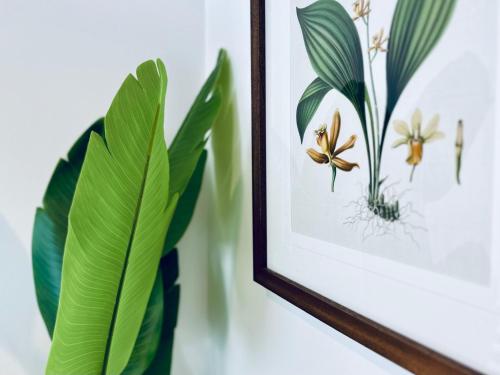 a framed picture of flowers on a wall at The Boathouse at Whitesands Cronulla in Cronulla