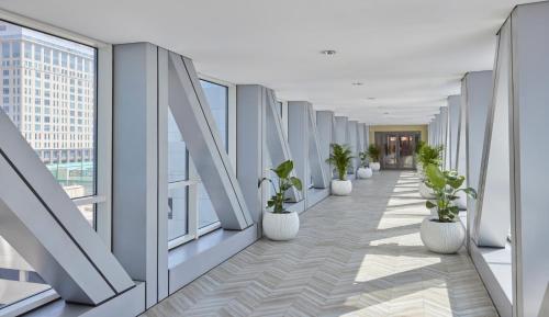 an office corridor with potted plants and windows at Rose Rayhaan by Rotana - Dubai in Dubai