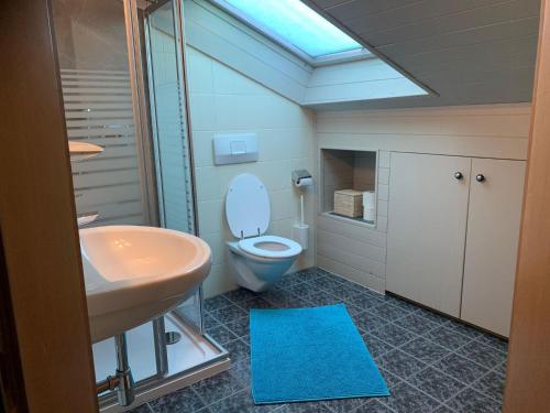 a bathroom with a toilet and a sink with a blue rug at Haus Angelika in Innerbraz