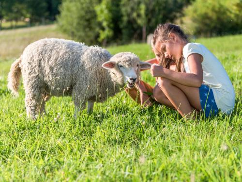 a woman sitting in the grass with a sheep at Gościniec Rabe - Agro&SPA in Ustrzyki Dolne